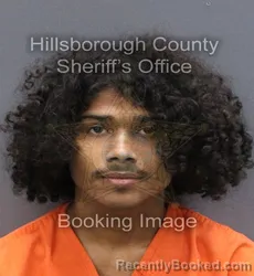 Mugshot of Miguel Alexis Guzman booked in Hillsborough County, Florida on October 5, 2026