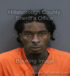 Mugshot of Dedric Ramon Jr Taggart booked in Hillsborough County, Florida on October 5, 2026