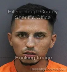 Mugshot of Masee Hashmat booked in Hillsborough County, Florida on October 5, 2026