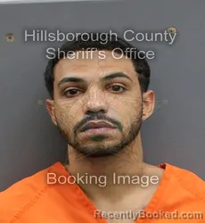 Mugshot of TYLER FRANK JOSEPH JACKSON