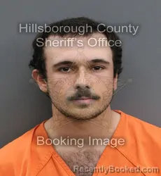 Mugshot of MICHAEL JAKE RUBINO