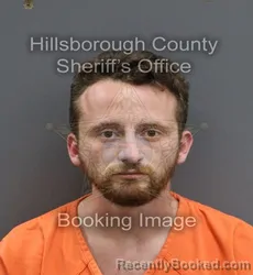 Mugshot of ROY LEVIN