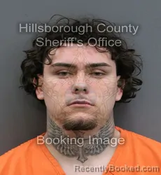 Mugshot of AIZAYA JESUS MAGGIO