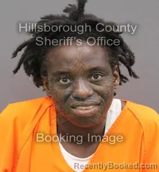 Mugshot of Ranisha Lasha Knowles