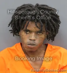 Mugshot of Anthony Jr Gonzalez