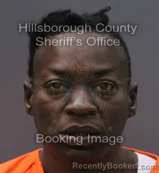 Mugshot of DENISE TANETTE JAMES