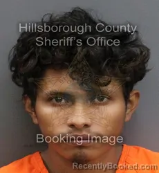 Mugshot of LUDWIN RAUL SARAVIA GARAY