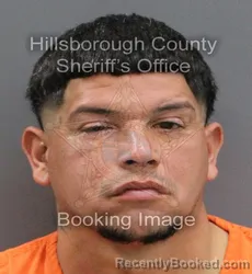 Mugshot of LUIS ANGEL RIVERA CASTRO