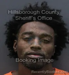 Mugshot of DAVLYAN ZAMIR GARRISON