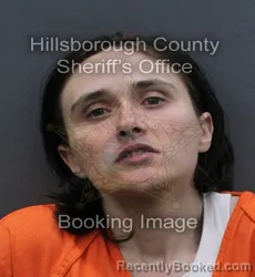 Mugshot of LAUREN NICOLE TELLER