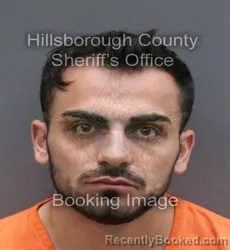 Mugshot of Michael A Di Matteo booked in Hillsborough County, Florida on October 23, 2026