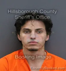Mugshot of Alexander James Dooley booked in Hillsborough County, Florida on October 23, 2026