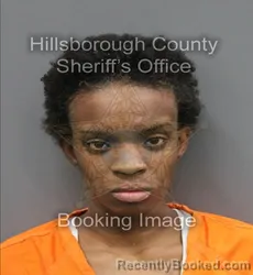 Mugshot of Olivia Clarice Norwood booked in Hillsborough County, Florida on October 23, 2026