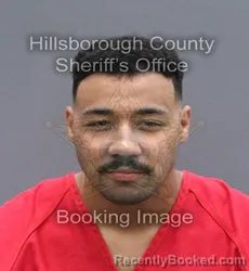 Mugshot of Elijah Tackett booked in Hillsborough County, Florida on October 23, 2026