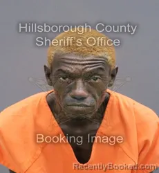 Mugshot of Nickolas Gene Clark booked in Hillsborough County, Florida on October 23, 2026