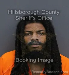 Mugshot of Elijah Alexander Sturn booked in Hillsborough County, Florida on October 23, 2026
