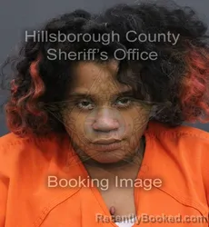 Mugshot of Katlyn Amari-Janae Anderson booked in Hillsborough County, Florida on October 23, 2026