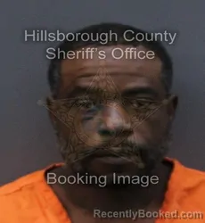 Mugshot of MARK ANTHONY LOGAN