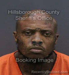 Mugshot of WILFRED HOWARD JR CAYASSO