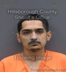 Mugshot of Luis Anthony Rodriguez booked in Hillsborough County, Florida on October 25, 2026