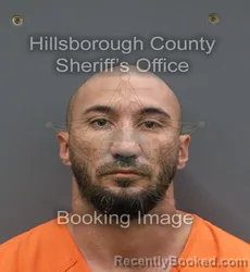 Mugshot of Eric Ryan Bosworth booked in Hillsborough County, Florida on October 25, 2026