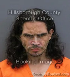 Mugshot of Justin Luis Ruiz booked in Hillsborough County, Florida on October 25, 2026