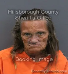 Mugshot of Cindy Michelle Lamoureux booked in Hillsborough County, Florida on October 25, 2026