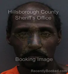 Booking photo from Hillsborough County, Florida