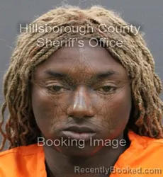 Booking photo from Hillsborough County, Florida