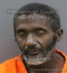 Booking photo from Hillsborough County, Florida