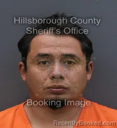 Mugshot of MARIO HERNANDEZ GONZALEZ