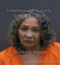 Booking photo from Hillsborough County, Florida