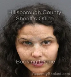 Booking photo from Hillsborough County, Florida
