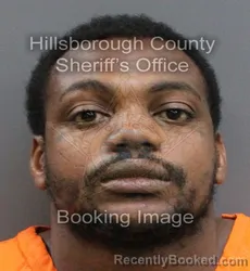 Booking photo from Hillsborough County, Florida