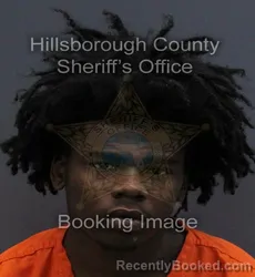 Booking photo from Hillsborough County, Florida