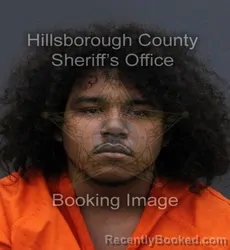 Booking photo from Hillsborough County, Florida