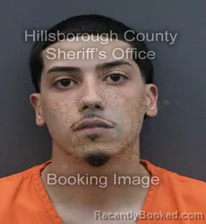 Booking photo from Hillsborough County, Florida