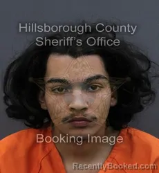 Booking photo from Hillsborough County, Florida