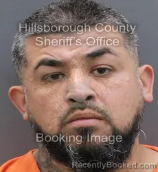 Booking photo from Hillsborough County, Florida