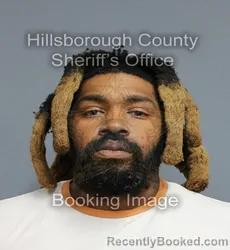 Mugshot of AL MICHKAIL WILLIAM DAVIS