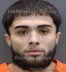 Booking photo from Hillsborough County, Florida