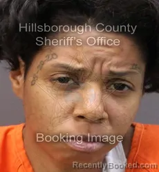 Booking photo from Hillsborough County, Florida