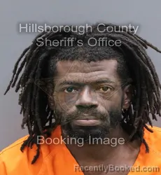 Booking photo from Hillsborough County, Florida