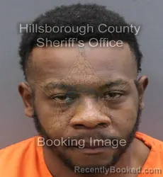 Booking photo from Hillsborough County, Florida