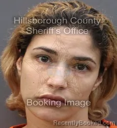 Booking photo from Hillsborough County, Florida