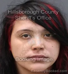 Booking photo from Hillsborough County, Florida