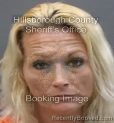 Booking photo from Hillsborough County, Florida