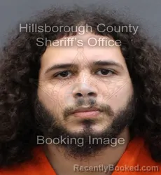 Booking photo from Hillsborough County, Florida