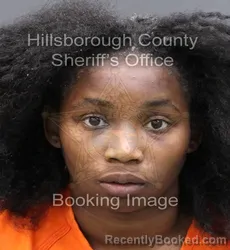 Booking photo from Hillsborough County, Florida
