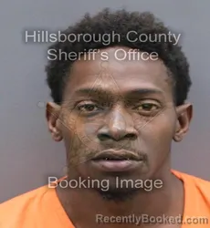 Booking photo from Hillsborough County, Florida